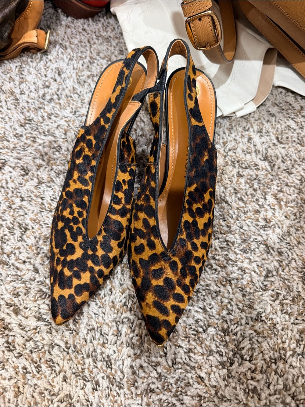 Tory Burch Leopard Print Pointed Toe Slingback Mules - Brown/Black